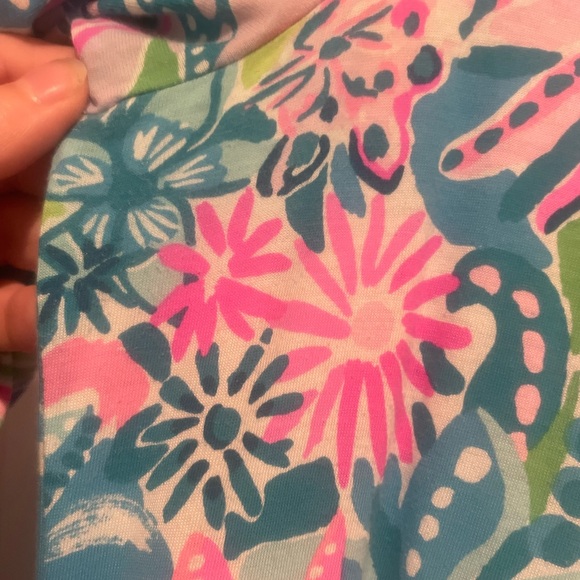 EUC Lilly Pulitzer Dress, L - Picture 5 of 6